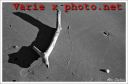 Foto varie pubblicate su Photo.net